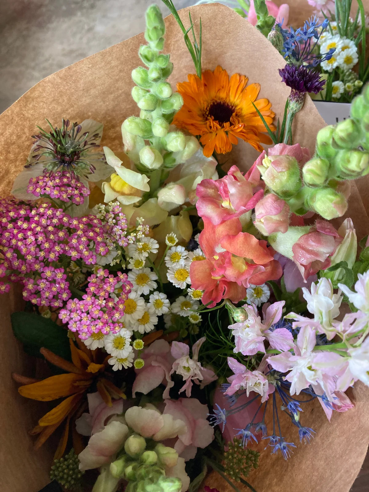 Designers Choice Arrangement